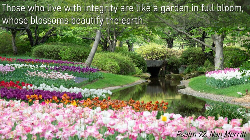 Viriditas: Week 1 - The Greening Power of God Image