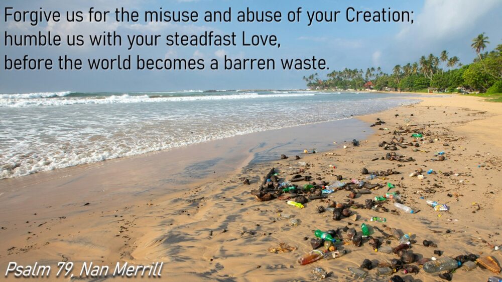 Viriditas - The Greening Power of God: Week 3 Image