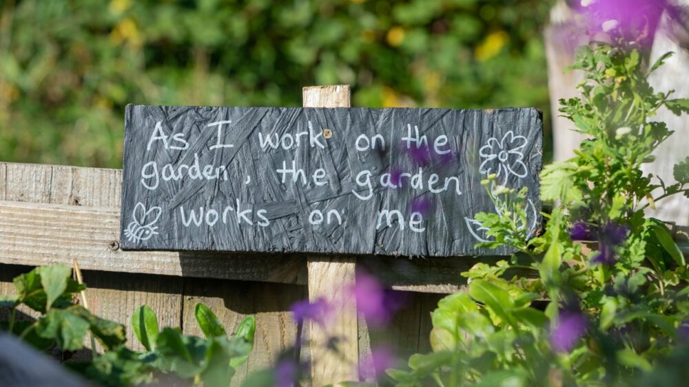 Viriditas - The Greening Power of God: Week 5 Image