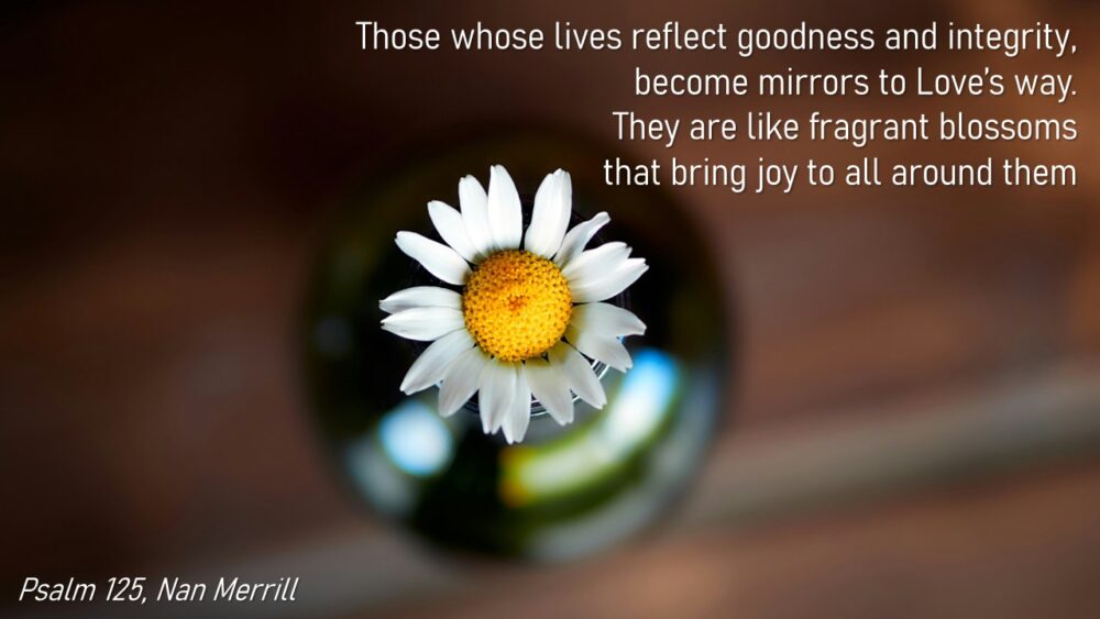 Rooted in Grace: Week 1 Image